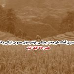 دانلود آهنگ تموم راهرو های خونه رو شمع که بچینی من باهات قهرم از تتلو